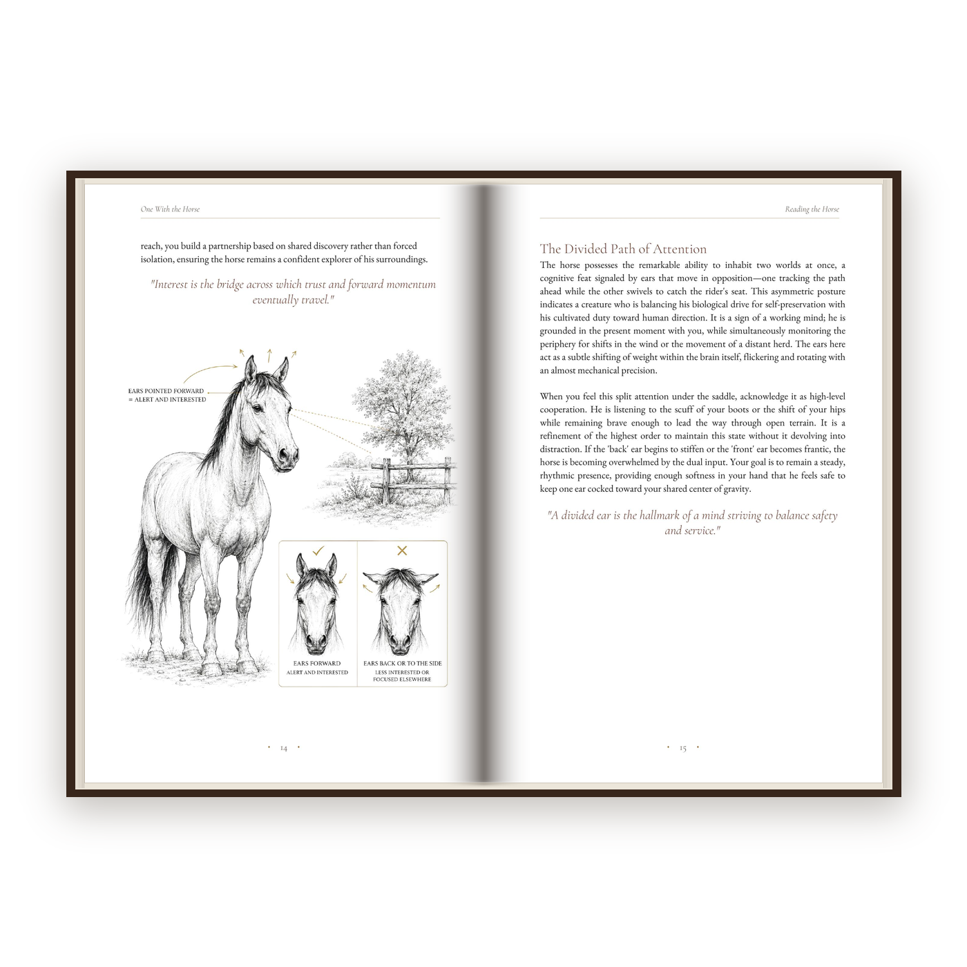One With The Horse - Five parts, forty-two chapters