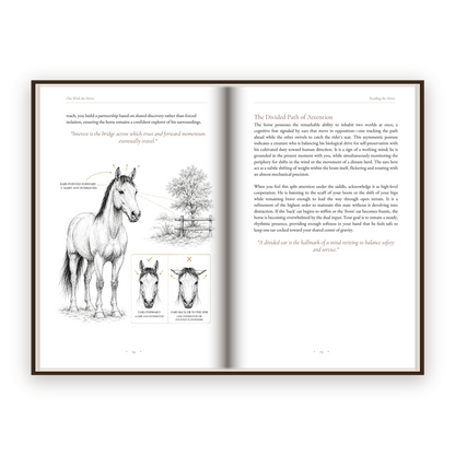 One With The Horse - Five parts, forty-two chapters