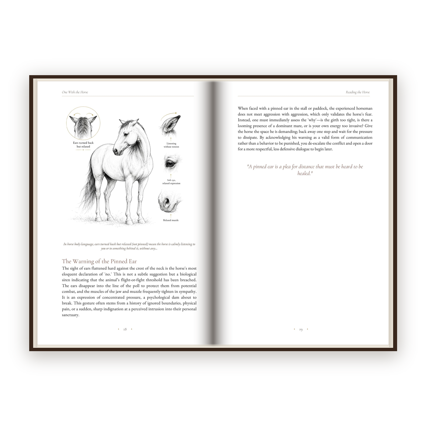 One With The Horse - Five parts, forty-two chapters