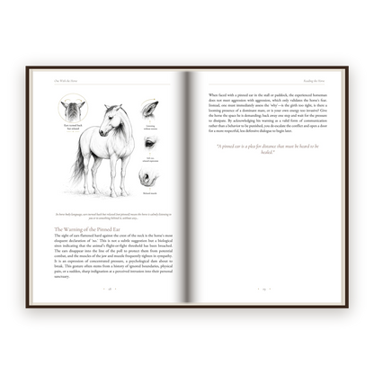 One With The Horse - Five parts, forty-two chapters