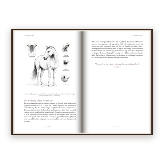One With The Horse - Five parts, forty-two chapters